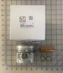 750-41610/025 Piston assembly, used on the LPW and the LPWS Lister Petter series engines.